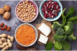 The 10 Best Plant Based Proteins to Include in Your Diet
