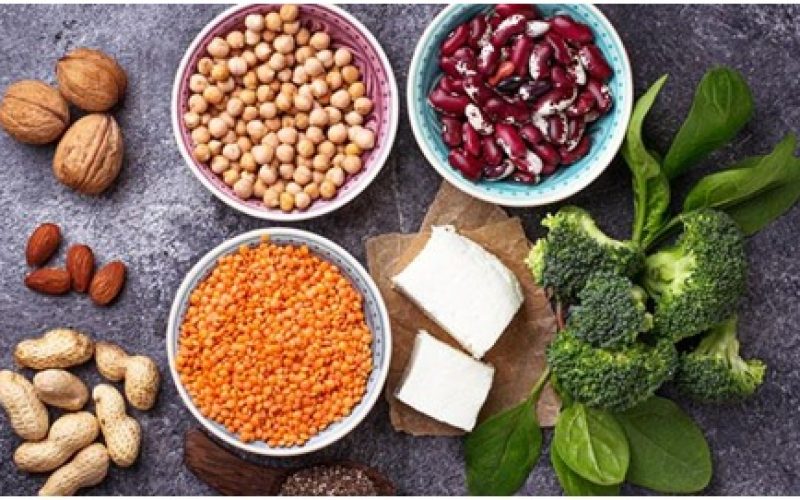 The 10 Best Plant Based Proteins to Include in Your Diet