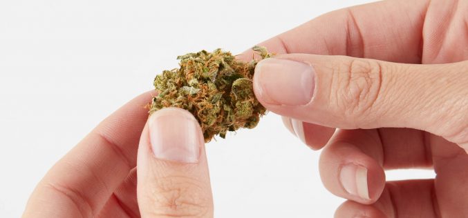 HOW TO DETERMINE THE BEST MARIJUANA STRAIN FOR YOU