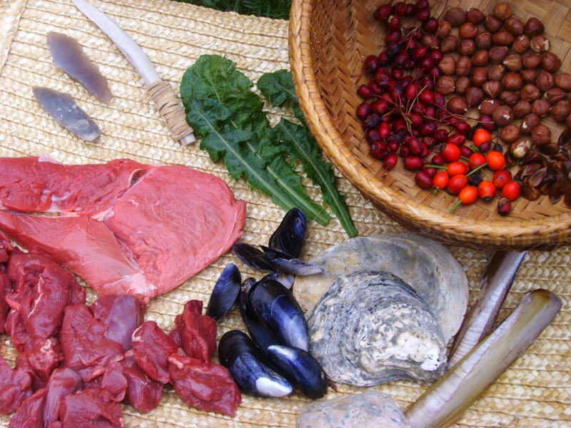 What Is the Paleolithic Diet?